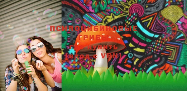ГАЛЛЮЦИНОГЕННЫЕ ГРИБЫ Валуйки