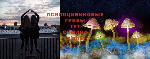 не бодяженный Пересвет