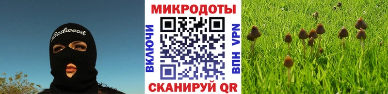Псилоцибиновые грибы Psilocybine cubensis  Хилок 